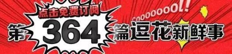 乒乓球是国际运动吗「乒乓球根本不算运动美国网上争议最大的话题我是这么想的」