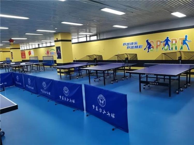 天津梦想者乒乓球「天津梦东方乒乓球乒乓推动梦想少年屹立东方」