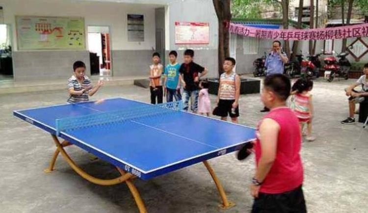 乒乓球是国际运动吗「乒乓球根本不算运动美国网上争议最大的话题我是这么想的」