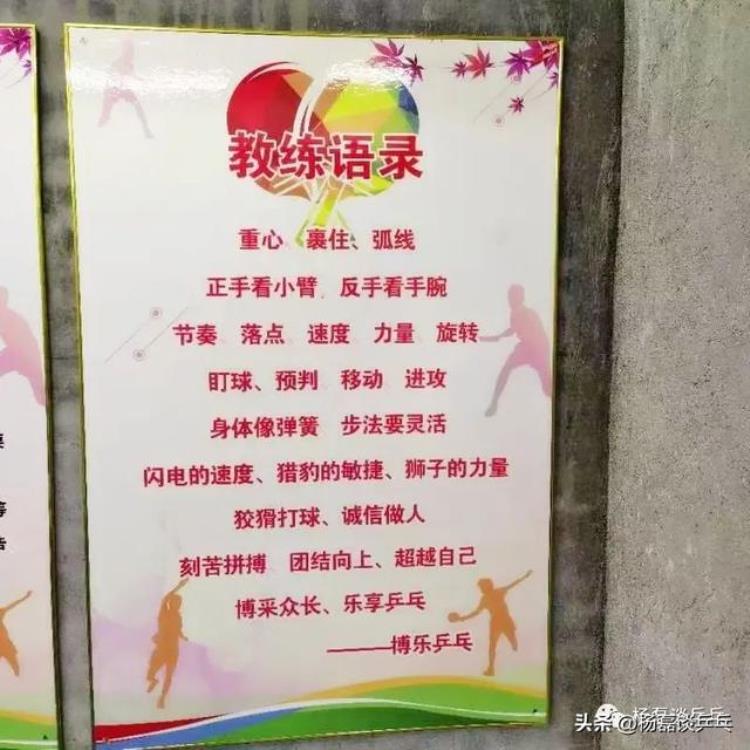 博友乒乓球俱乐部「专访博乐俱乐部业余乒乓俱乐部未来就是面向大众普及乒乓」