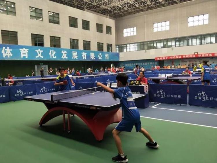 乒乓小将闹洛城是哪一集「乒乓小将闹洛城」