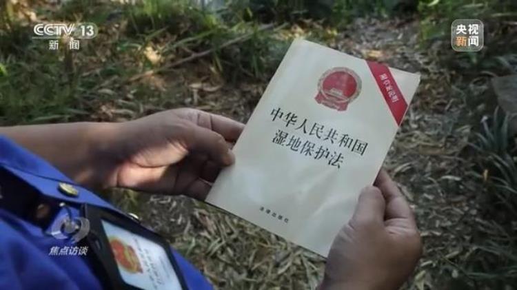 3499小游戏(34开头的身份证是哪个省的)