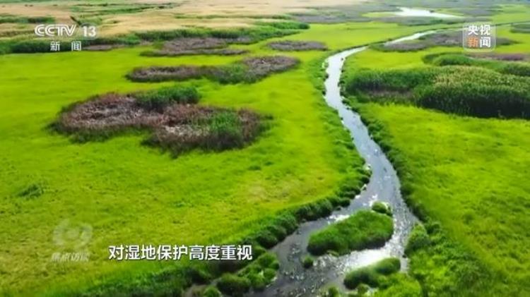 3499小游戏(34开头的身份证是哪个省的)