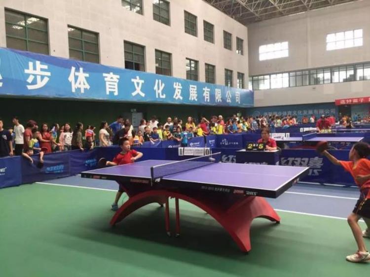 乒乓小将闹洛城是哪一集「乒乓小将闹洛城」