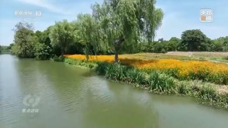 3499小游戏(34开头的身份证是哪个省的)