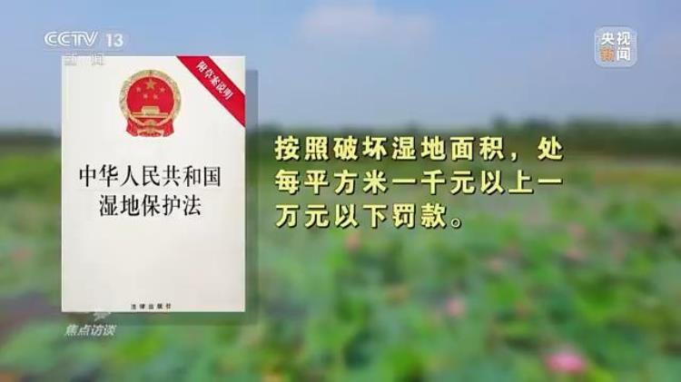 3499小游戏(34开头的身份证是哪个省的)