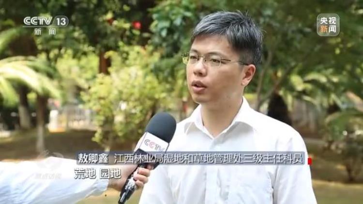 3499小游戏(34开头的身份证是哪个省的)