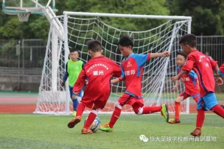 中国家长和外国家长的区别「中国家长和外国家长区别到底在哪里这一点最容易被忽视」