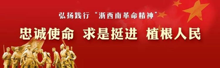只争朝夕齐聚力不负韶华谱新篇丽水市二院第六届一次职工工会代表大会胜利召开