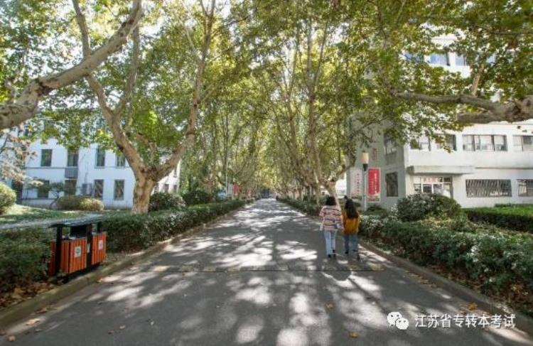 2021江苏大学专转本「2020年江苏专转本志愿填报避坑之江苏大学」