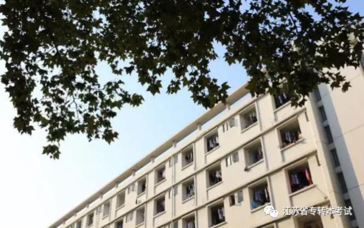 2021江苏大学专转本「2020年江苏专转本志愿填报避坑之江苏大学」