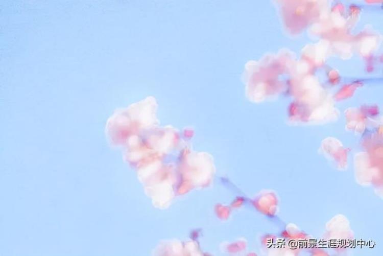 上海市进才中学高中部「高中巡礼上海市进才中学」