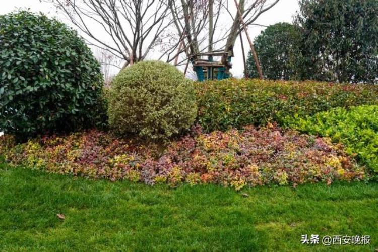 曲江麓融公园建设中有足球场篮球场嘛「曲江麓融公园建设中有足球场篮球场」