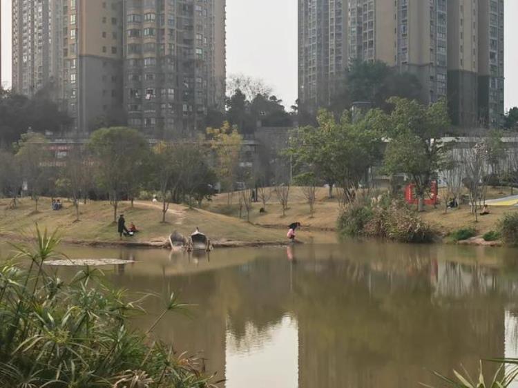 汇贤中心「遛娃好去处科学城汇贤社区体育公园焕新啦」