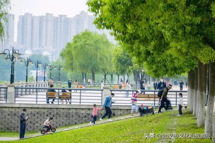 足球网球篮球场游泳池4600平方米的室内运动场馆尽在汉江湾体育公园