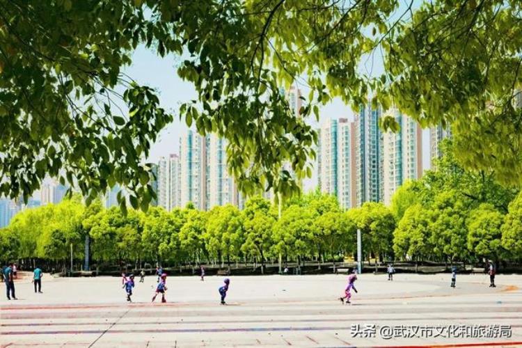 足球网球篮球场游泳池4600平方米的室内运动场馆尽在汉江湾体育公园