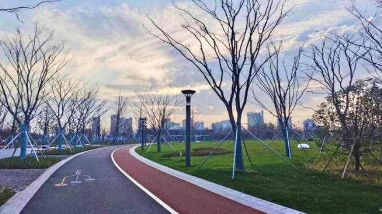 体育公园百科「家门口的高颜值体育公园喊你燃烧卡路里」