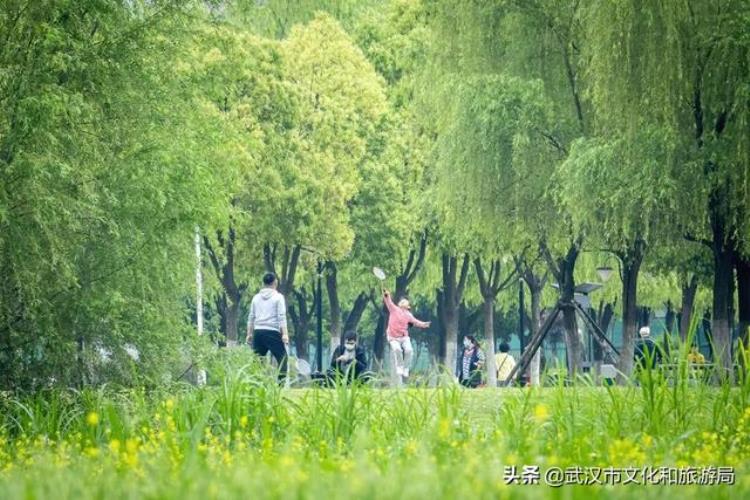 足球网球篮球场游泳池4600平方米的室内运动场馆尽在汉江湾体育公园