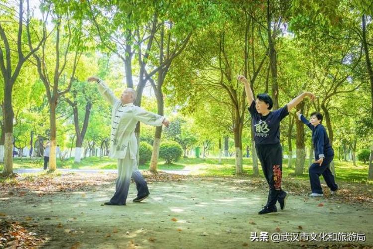 足球网球篮球场游泳池4600平方米的室内运动场馆尽在汉江湾体育公园