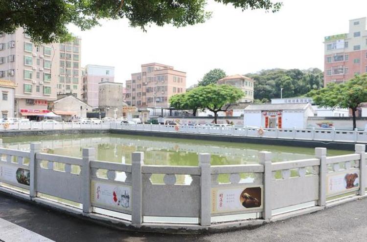 东莞凤岗新闻头条新闻「东莞凤岗深耕民生实事擦亮幸福底色」