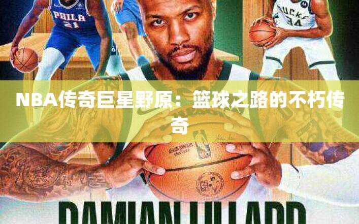NBA传奇巨星野原：篮球之路的不朽传奇