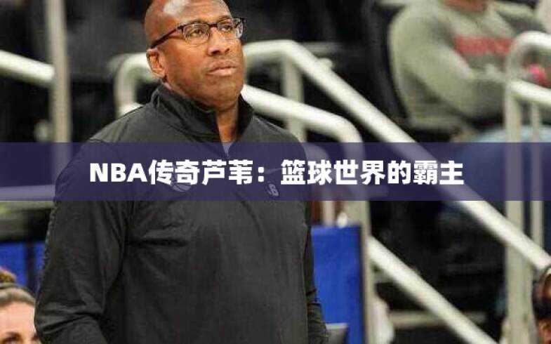 NBA传奇芦苇：篮球世界的霸主