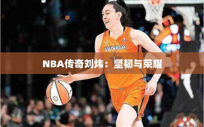NBA传奇刘炜：坚韧与荣耀