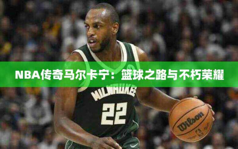 NBA传奇马尔卡宁：篮球之路与不朽荣耀